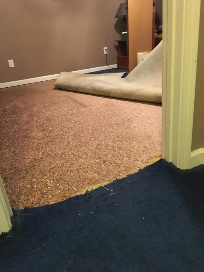 Carpet pad removal revealing water damage during Drying & Dehumidification in Brandon