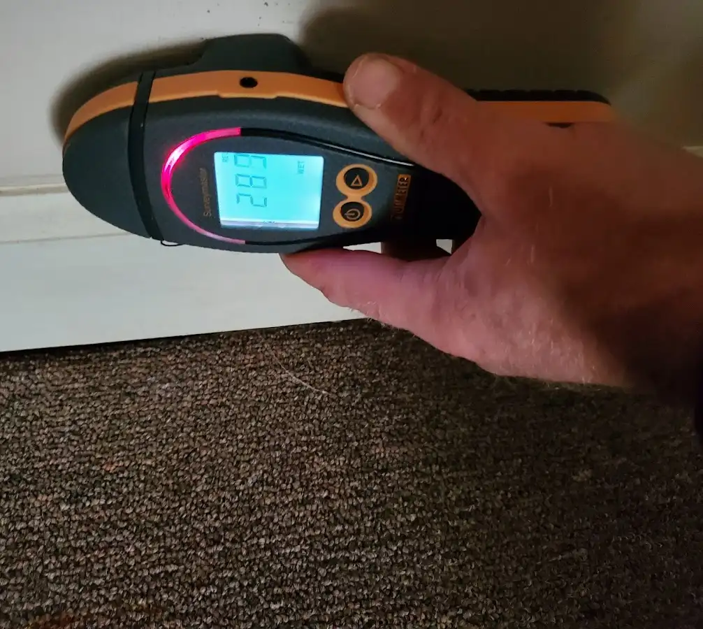 Moisture detection at baseboard during Sewage Cleanup & Sanitation in Brandon